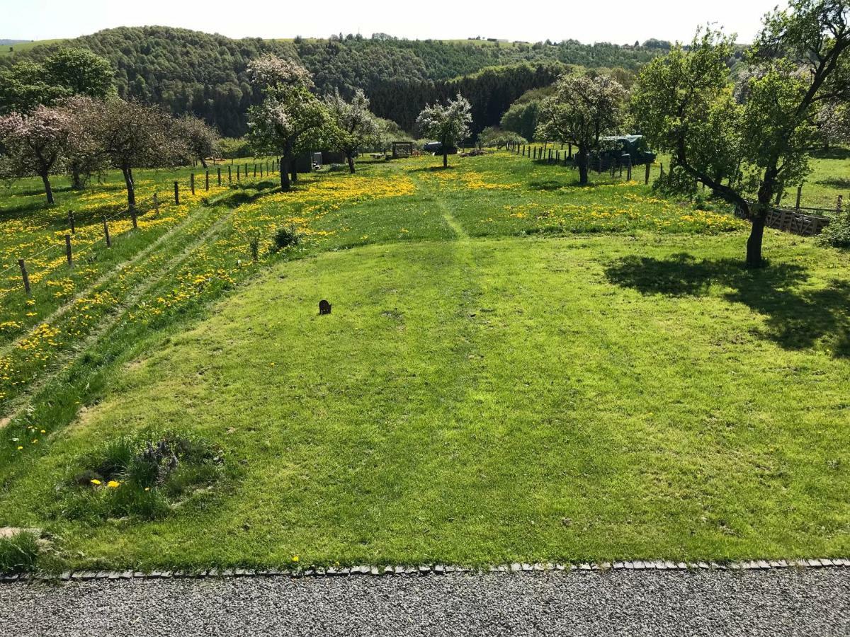 Ferienhaus Am Nationalpark Morsbach  Eksteriør billede